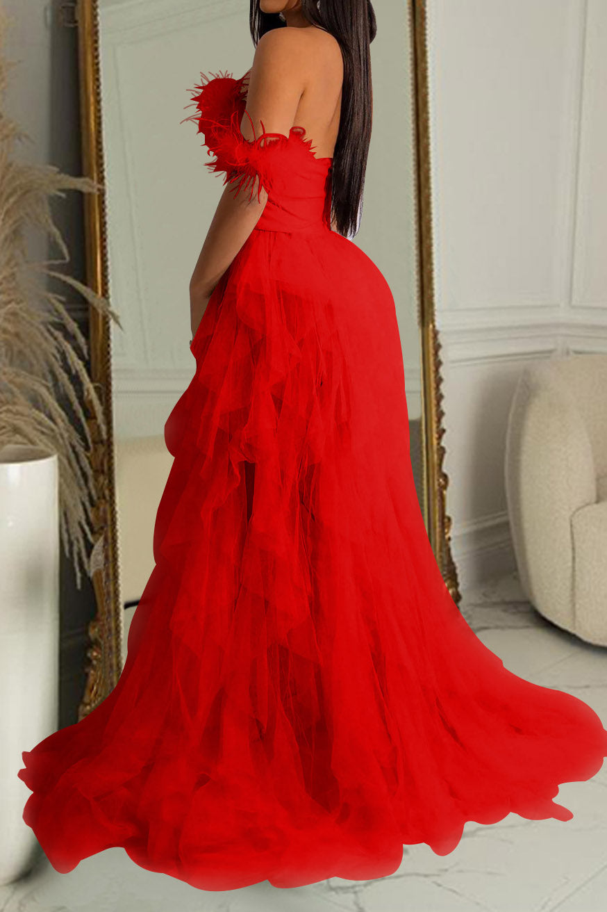 Strapless Corset Tulle Maxi Dress