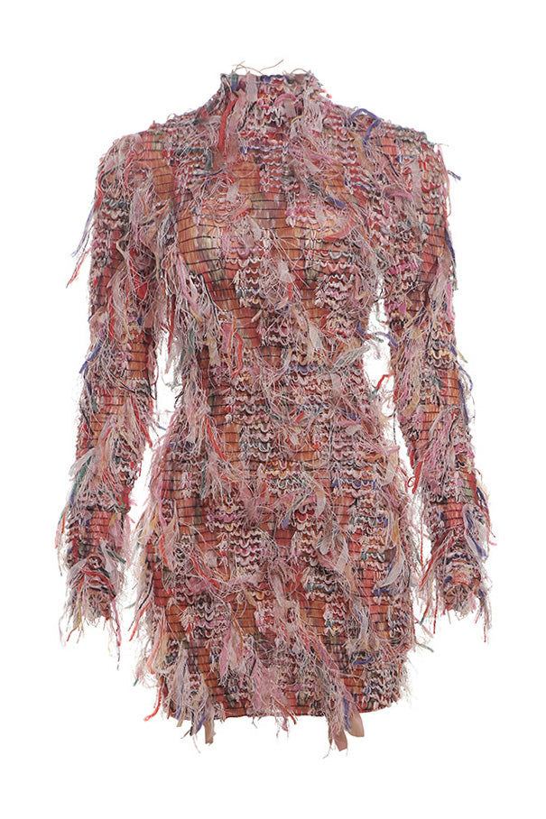 Multi-Color Fringe Mesh Mini Party Dress
