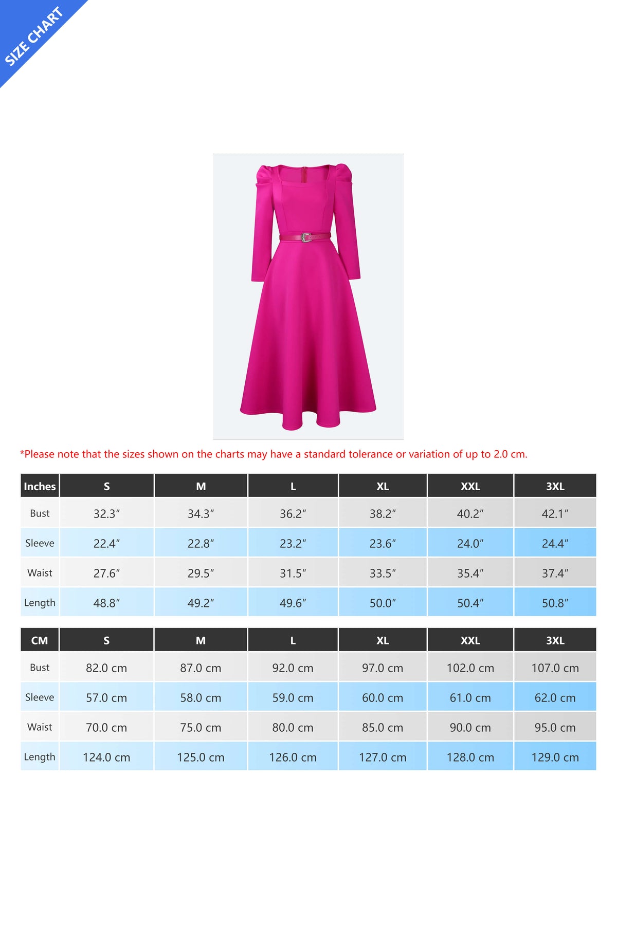 Puff Sleeve Elegant Pleated A-Line Dress