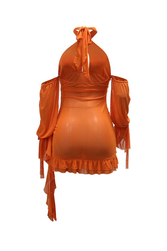 Ruched Mesh Cutout Halter Mini Dress