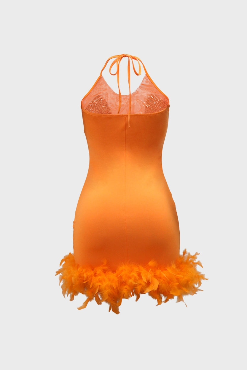 Sheer Cocktail Feather Dress