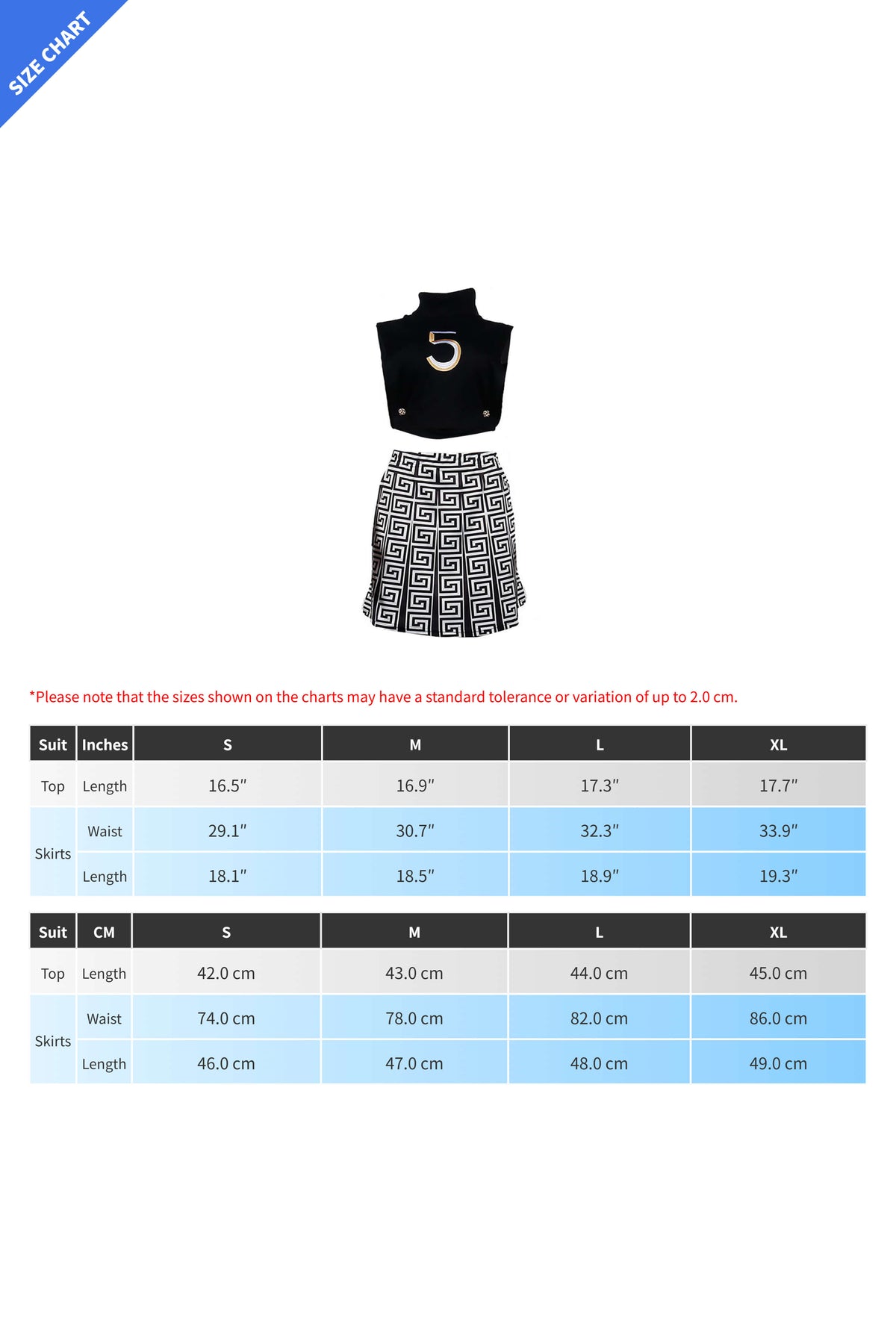 Printed Skirt & Embroidered Top Set