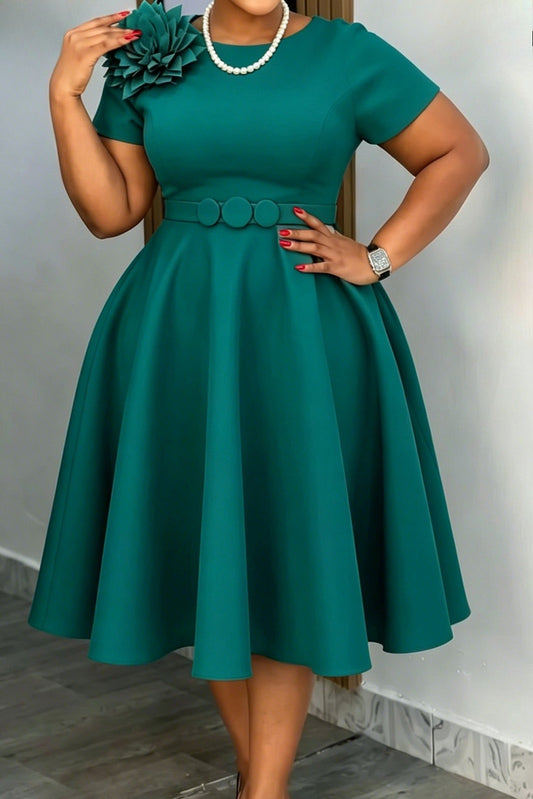 3D Floral Applique Belted A-Line Midi Dress