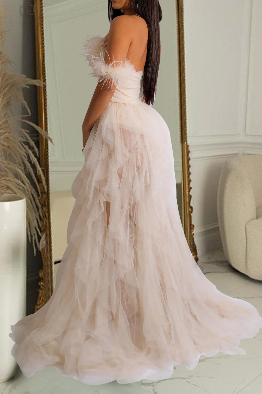 Strapless Corset Tulle Maxi Dress