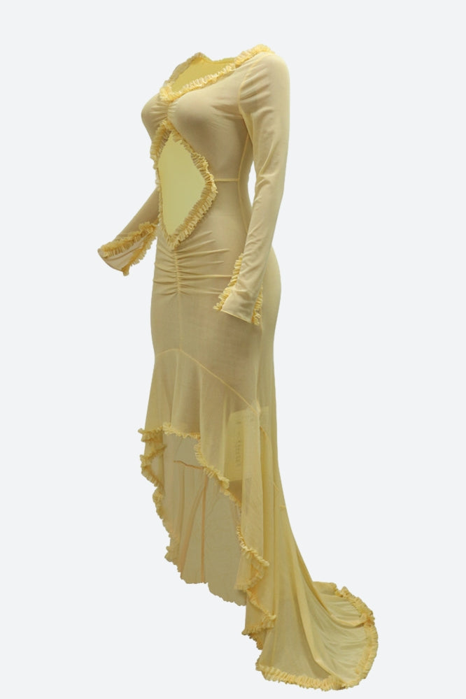 Maxi Ruffle Dress