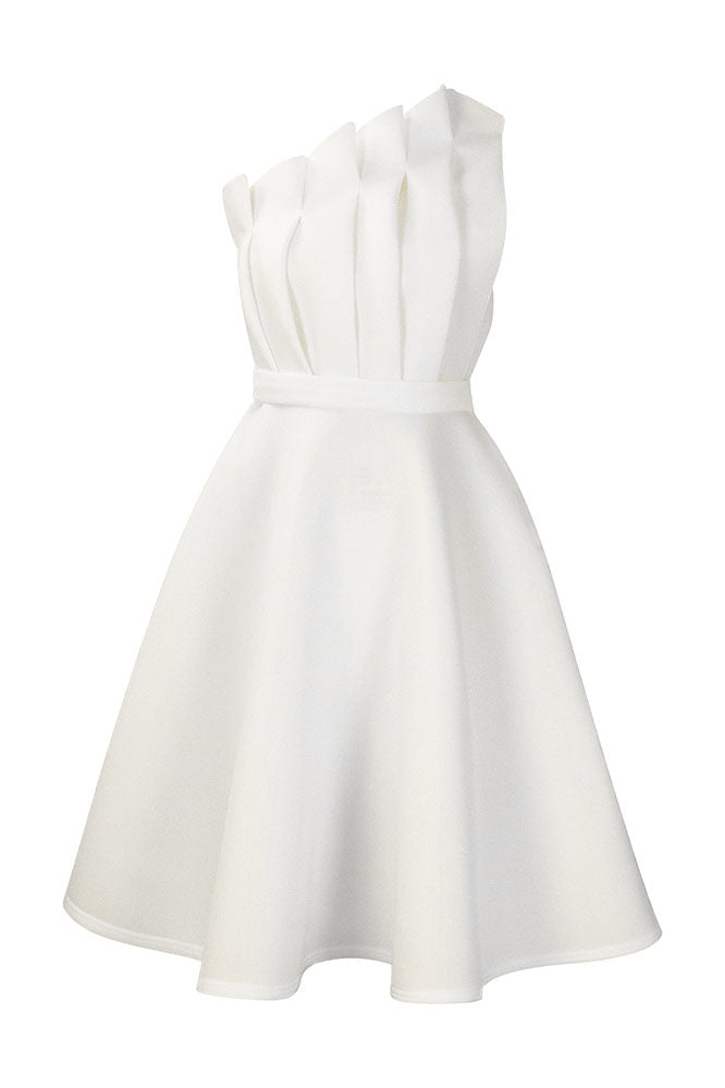 Pleated Asymmetric Cut Long Dress