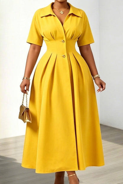 Tailored Collared Pleated A-Line Dress