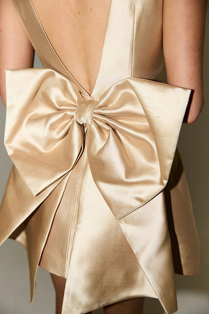 Bow Detail Mini Dress