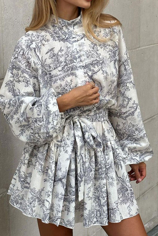 Illustration Print Mini Dress