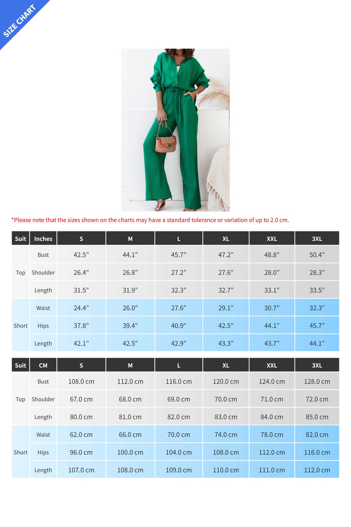 Elegant Ruffle Shirt And Pants Set