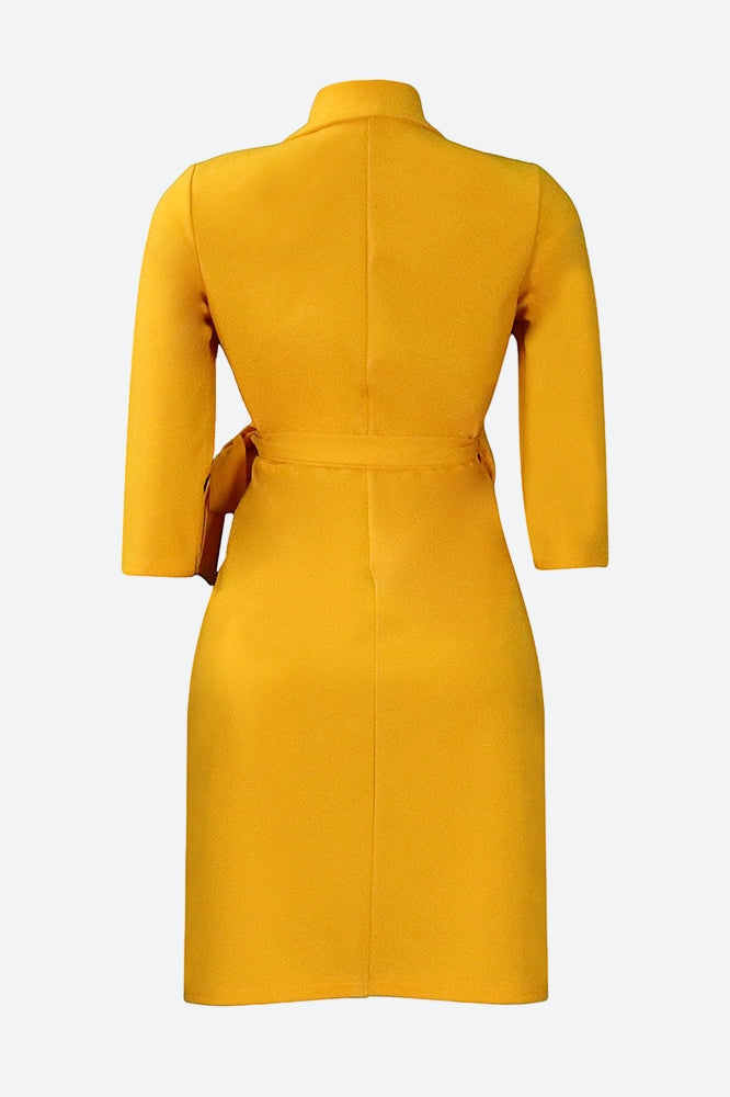 Three-Quarter Sleeves Tie Waist Mini Dresses
