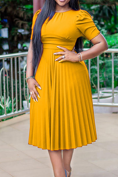 High Waist Pleated Dress