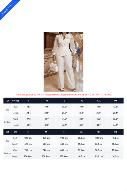 Sheer Sleeve Blazer 2-Piece Set