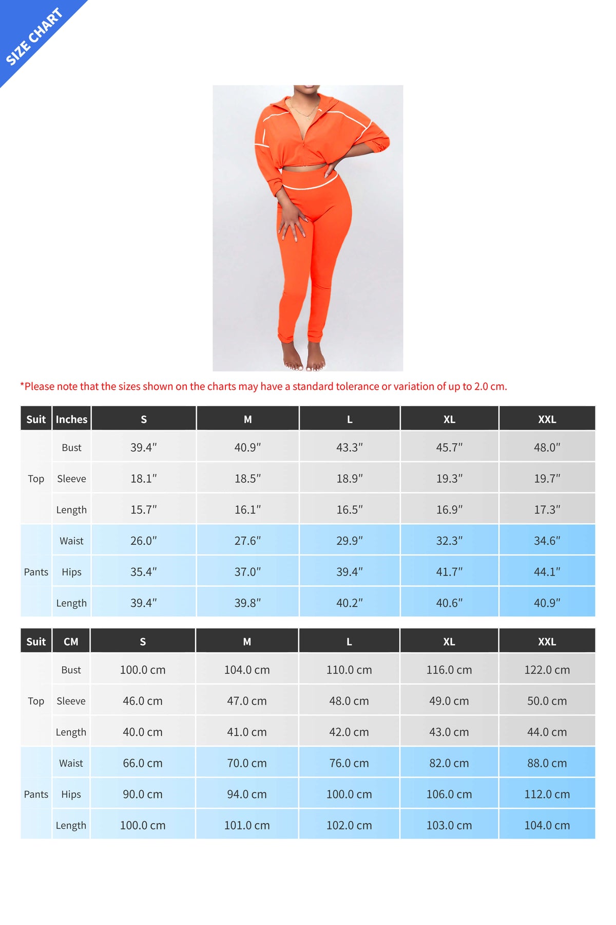 Solid Color Long Sleeve Zip-Up Top & Pants Set