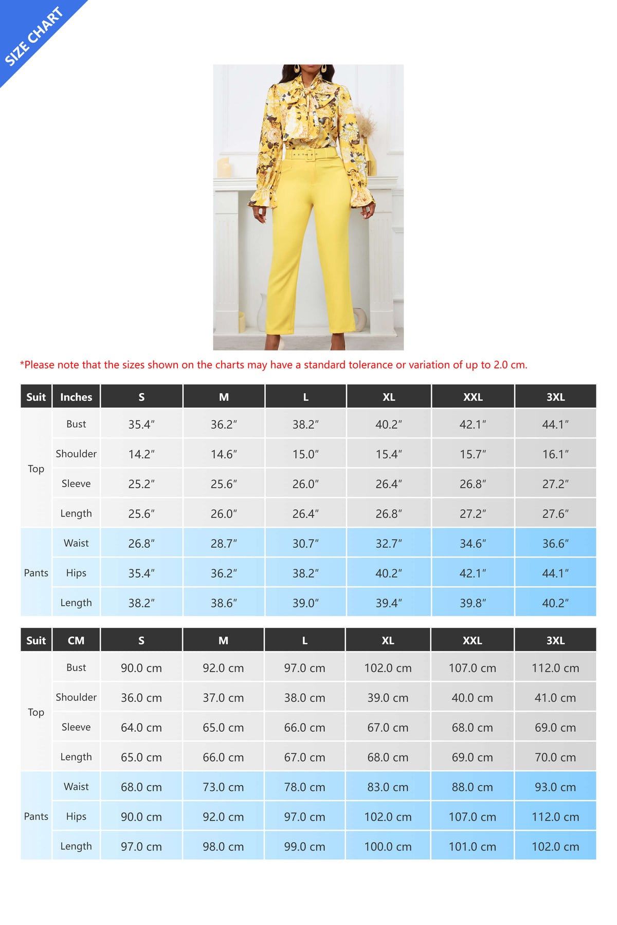 Floral Printing Blouse Solid Color Pants Set