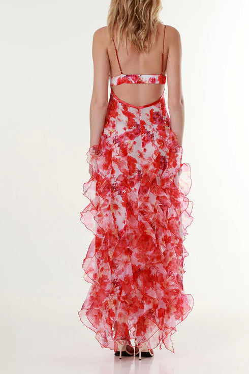 Ruffle Sheer Maxi Dress