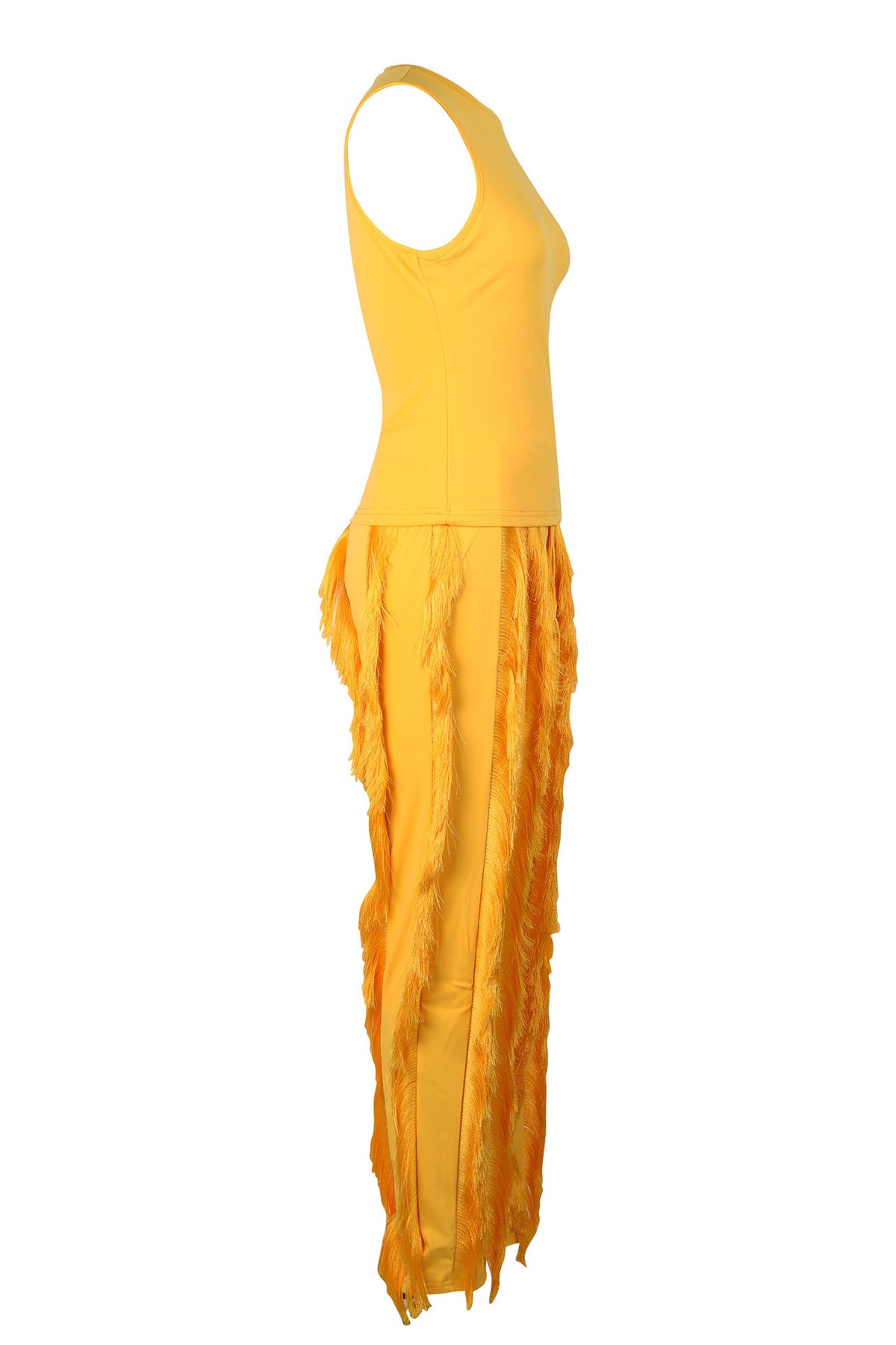 Fringe Pants Sleeveless Casual Two Piece Set