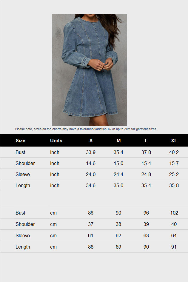 Denim Fit And Flare Mini Dress