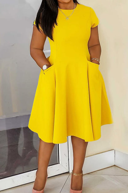 Plus Size Pocket Fit & Flare Dress