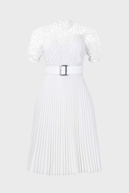 A-Line Pleated Dress