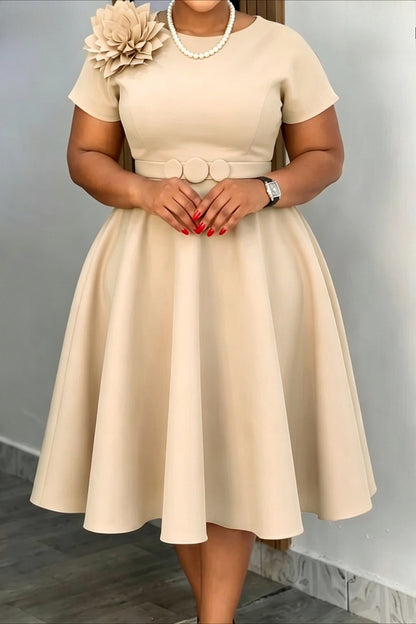 3D Floral Applique Belted A-Line Midi Dress
