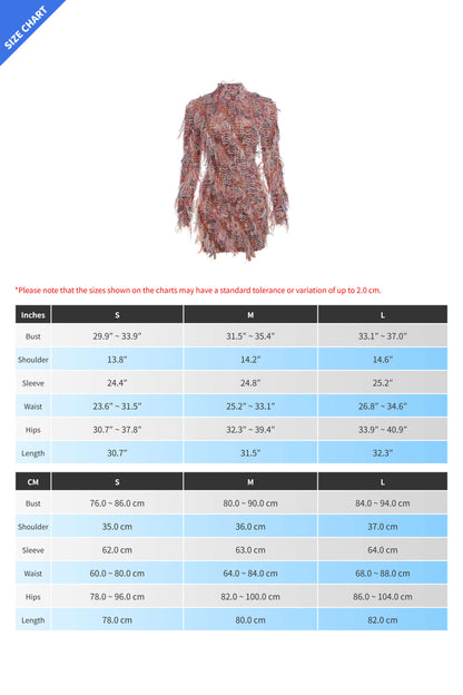 Multi-Color Fringe Mesh Mini Party Dress