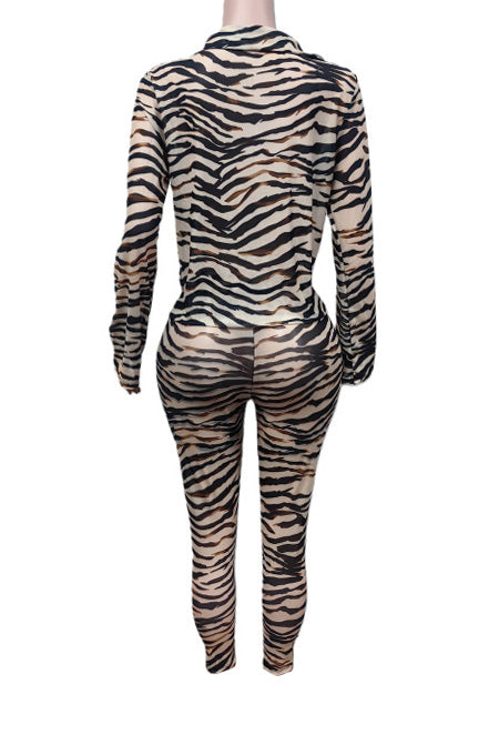 Animal Print Plunge Top & Pants Set