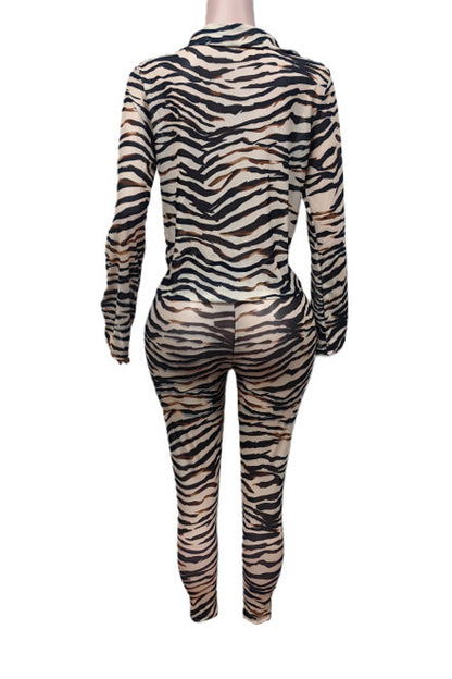Animal Print Plunge Top & Pants Set