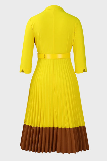 Two-Tone Belted Pleated Dress