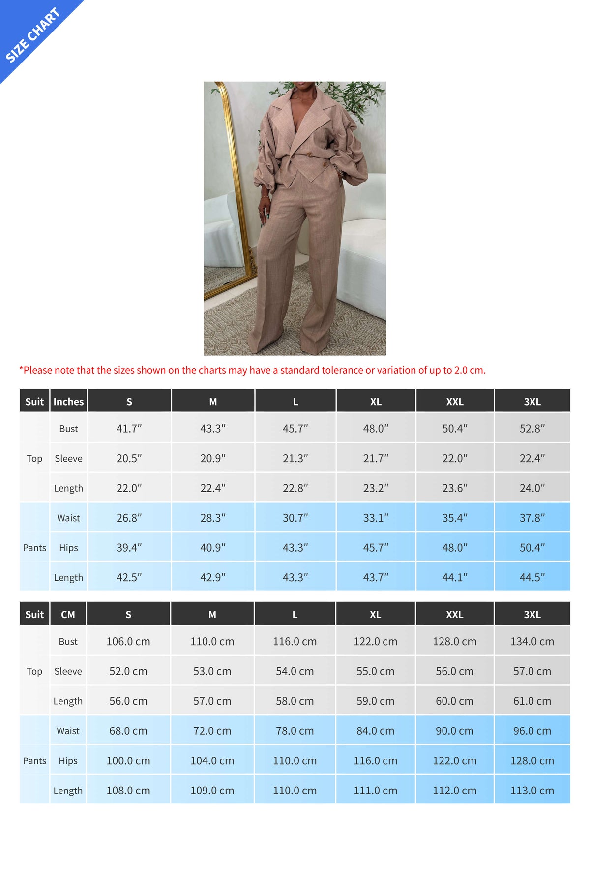 Casual Big Collar Ruched Sleeve Top & Pants Set