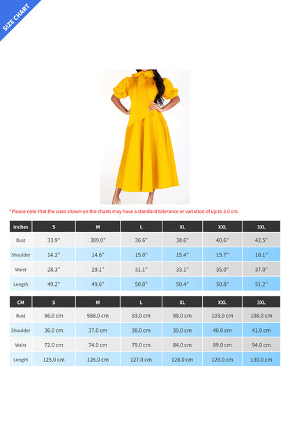 Elegant Tie-Neck Puff Sleeve A-Line Dress
