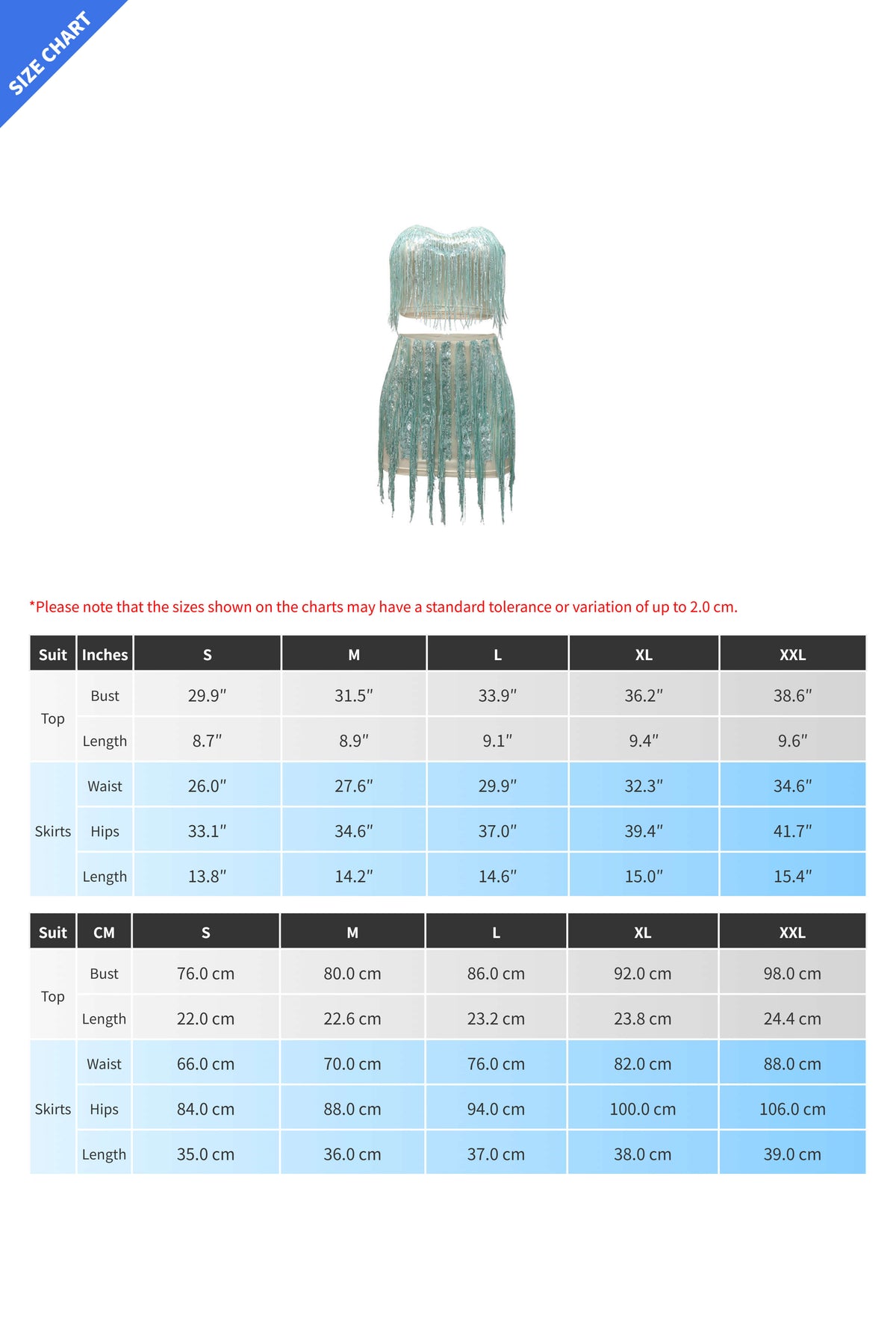Strapless Top & Fringe Skirt Set