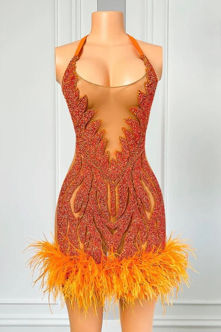 Sheer Cocktail Feather Dress
